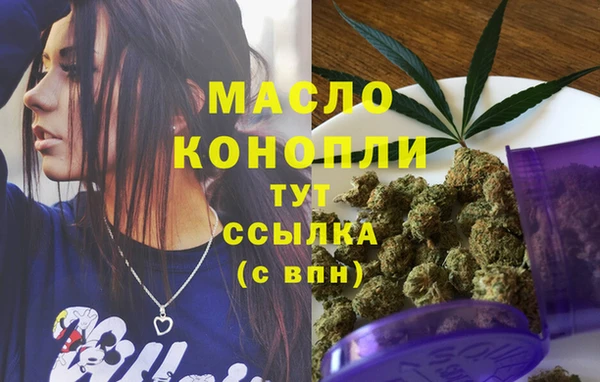 дживик Богородицк