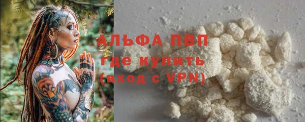 гашик Богданович