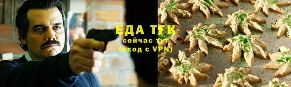 гашик Богданович